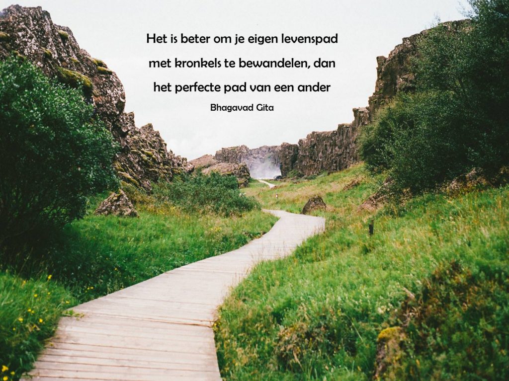 quote levenspad paradijsvogels magazine