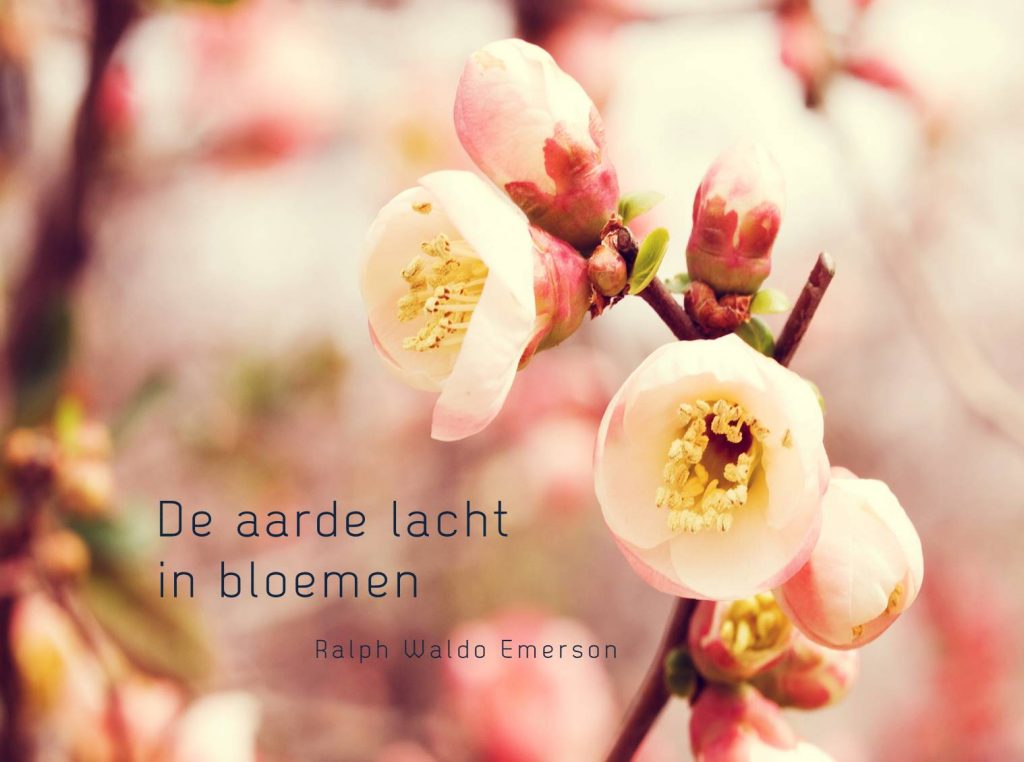 inspirerende quotes vrijheid