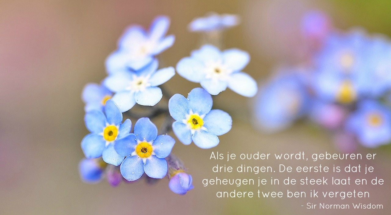 - quote ouder worden humor