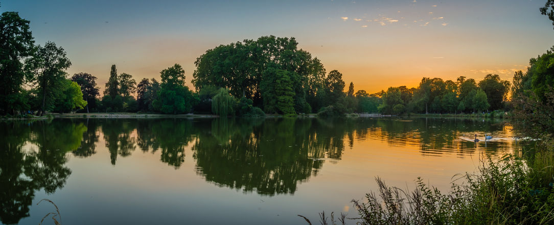 94923255 - vincennes park and lake with swans at dusk