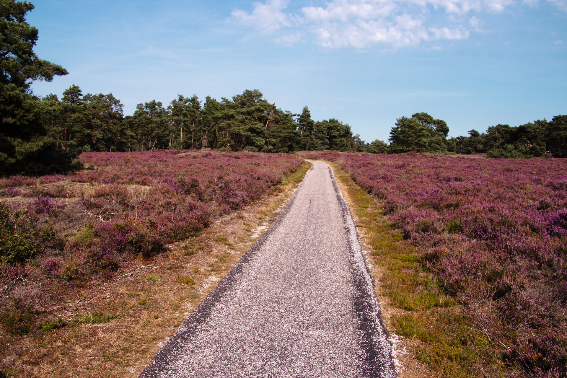 fietsroutes veluwe