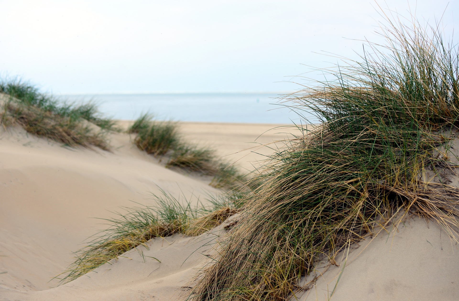 airbnb texel