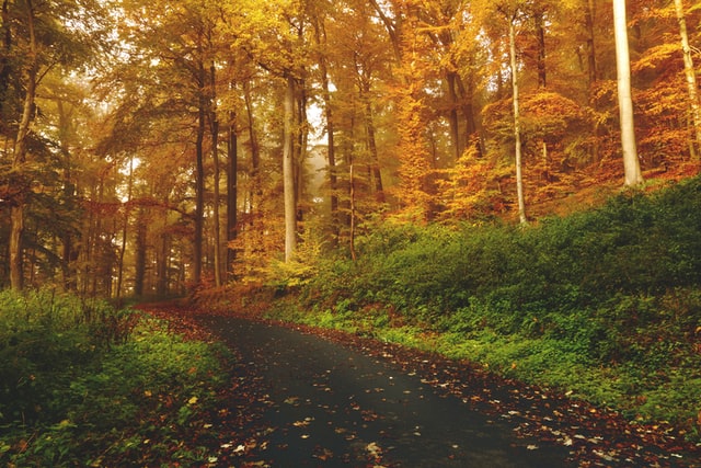 De 5 mooiste wandelroutes van Brabant