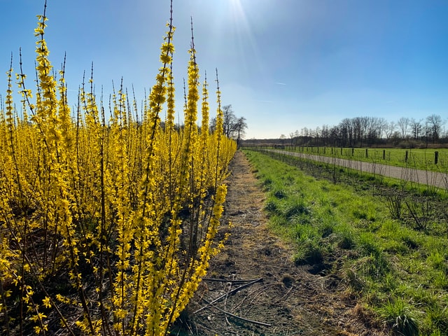 De 5 mooiste wandelroutes van Brabant