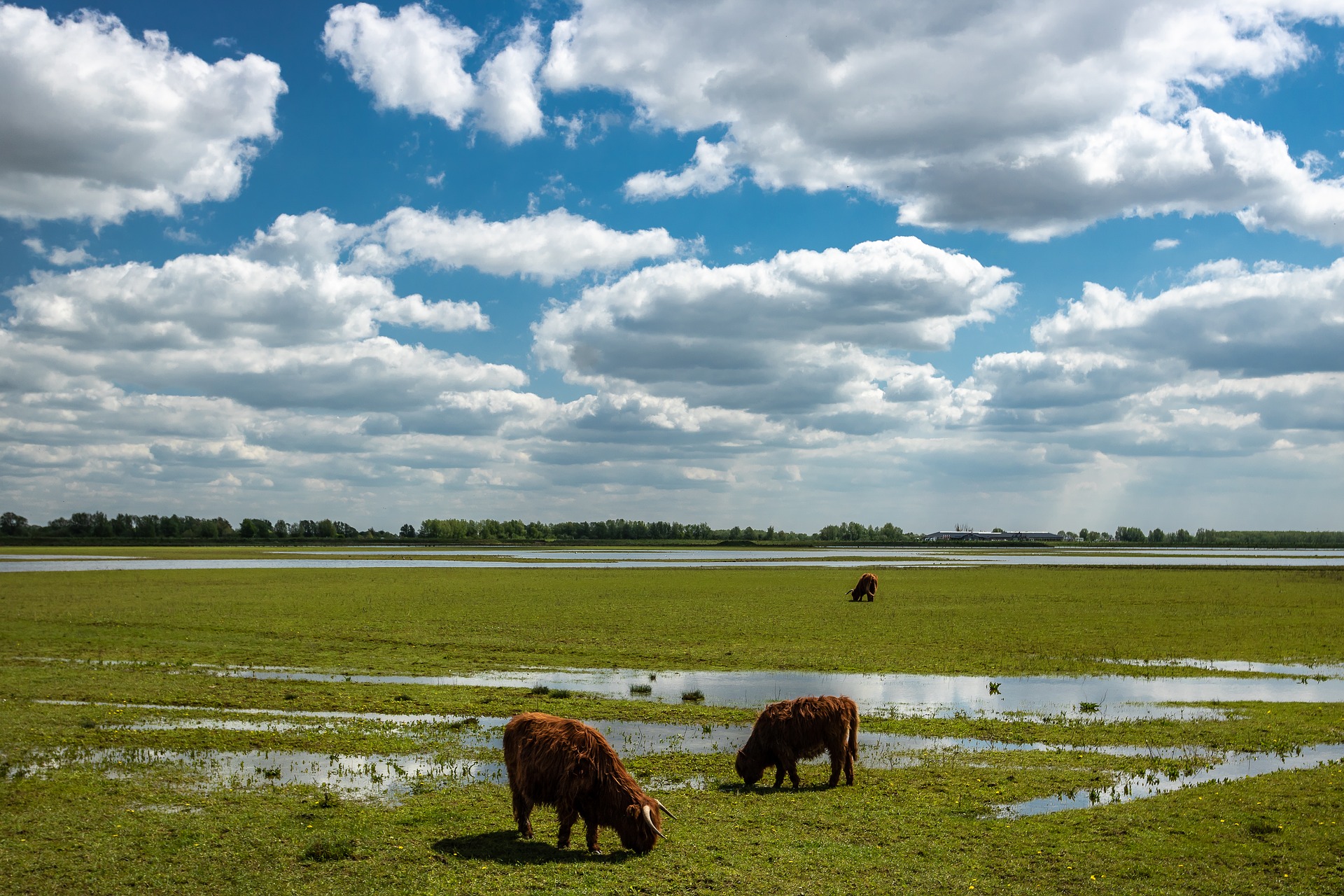 wandelroutes biesbosch