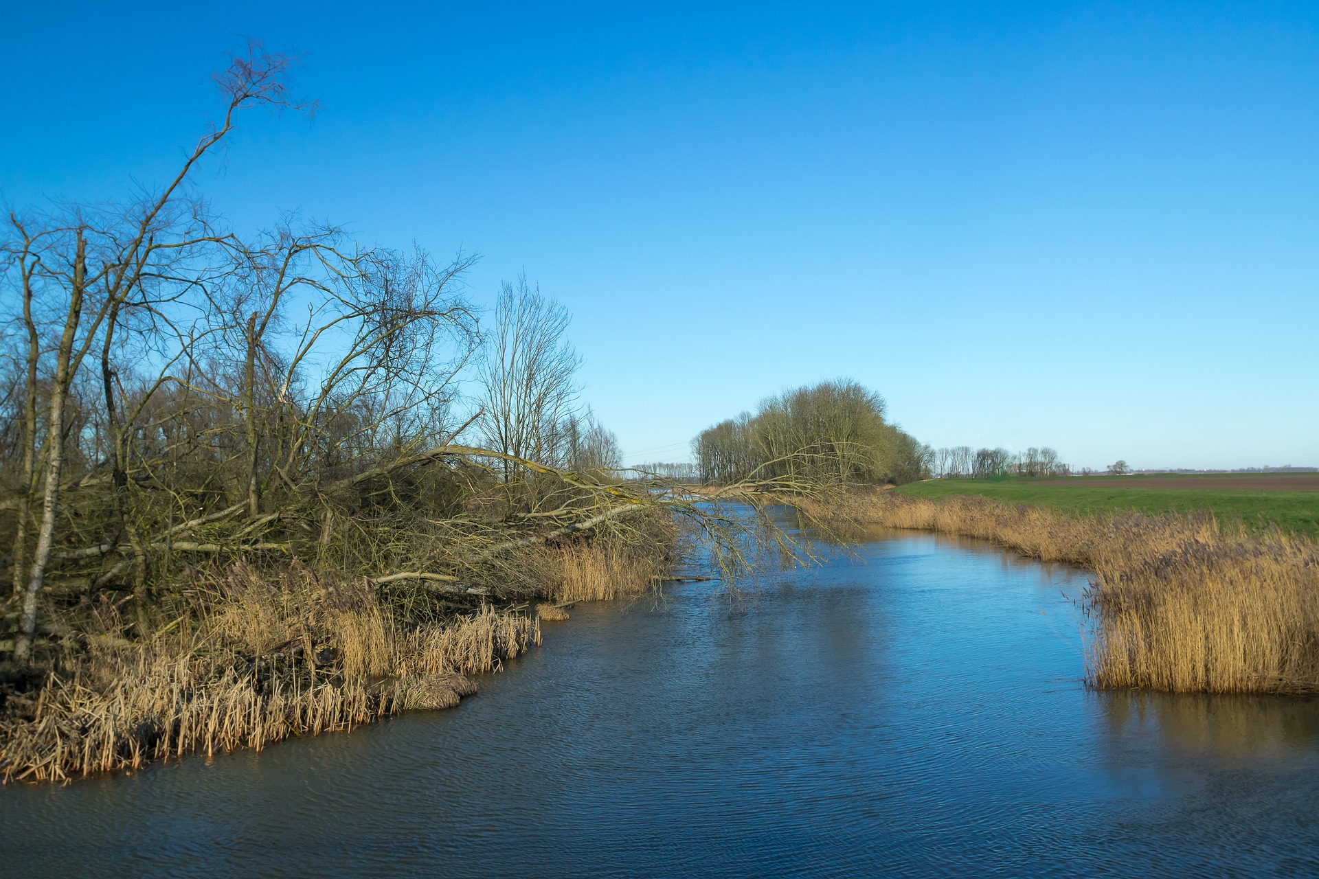 wandelroutes biesbosch