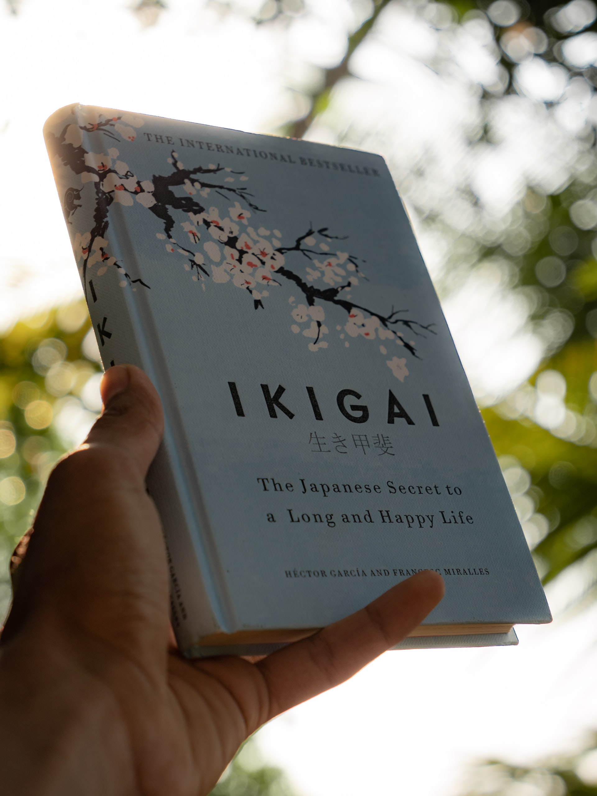 ikigai