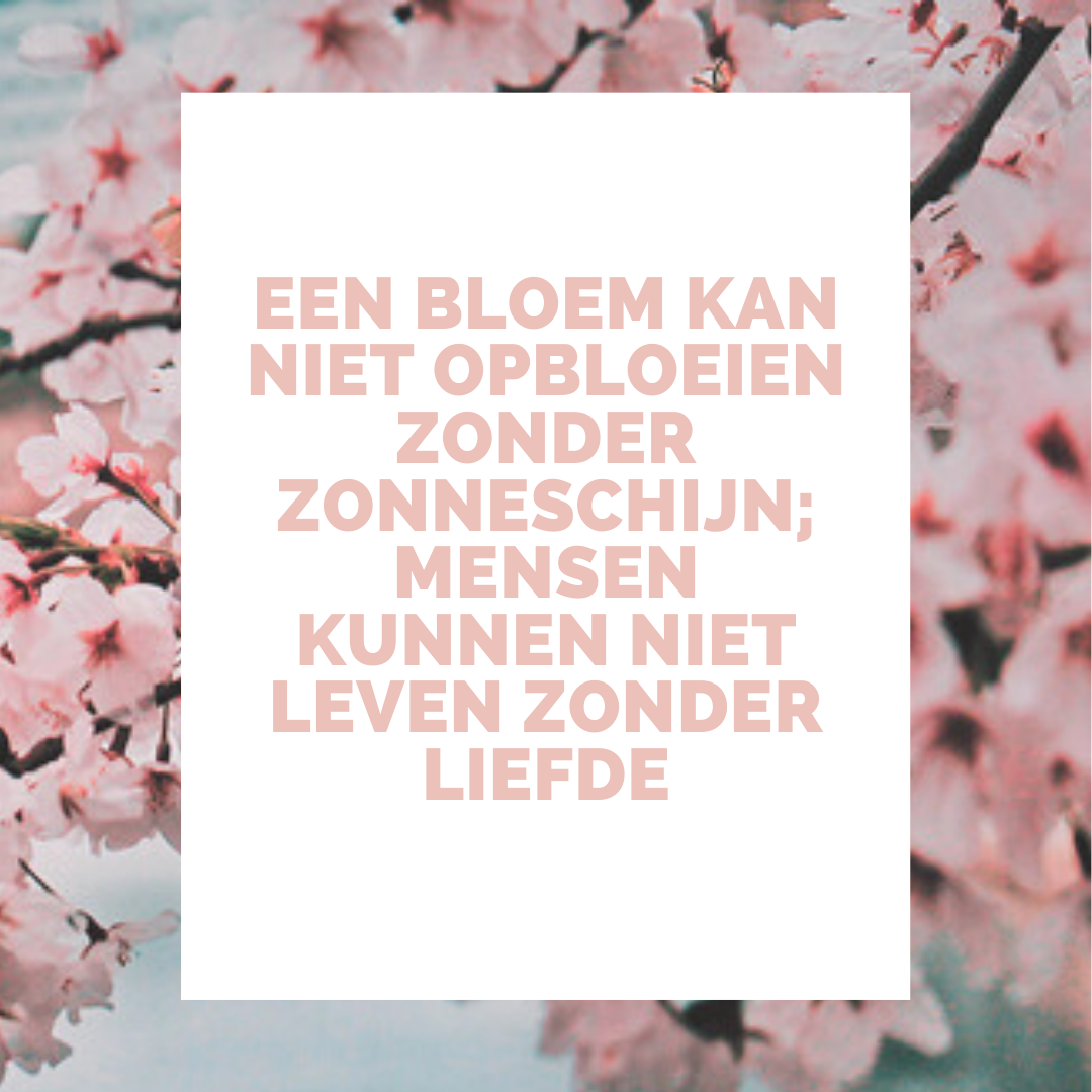 Liefde quotes