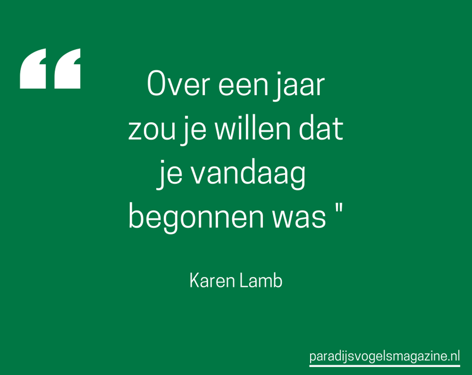 Goedemorgen quotes