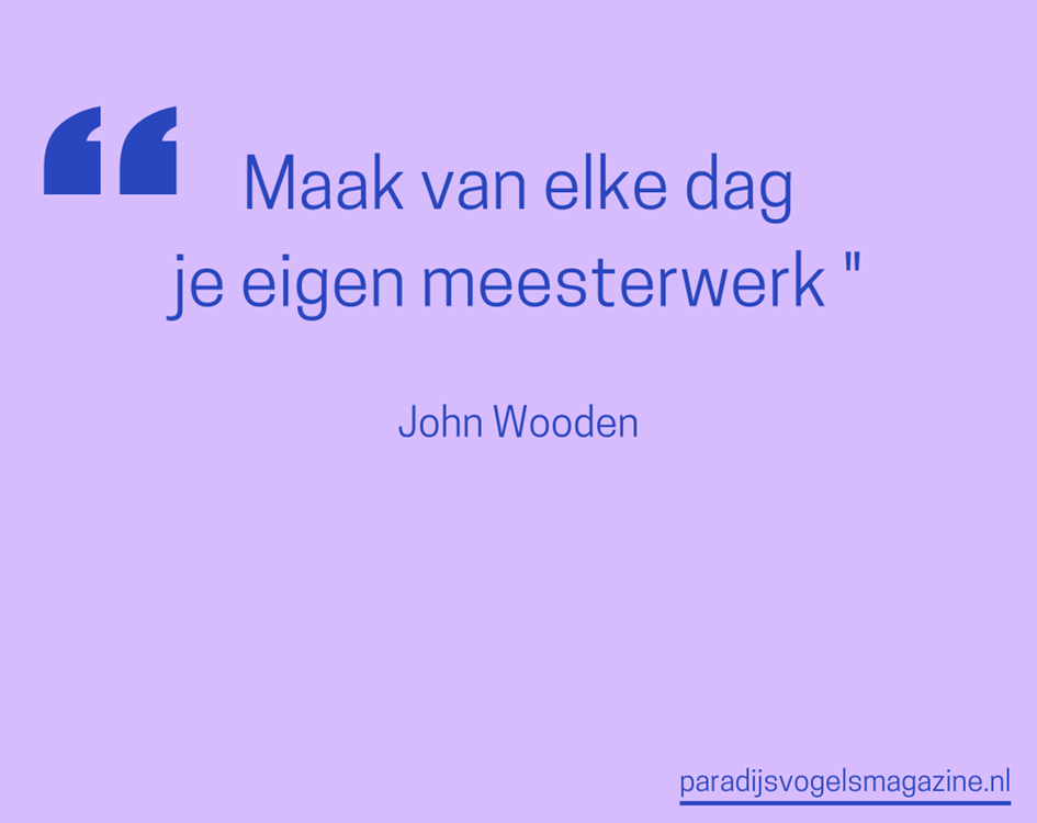Goedemorgen quotes