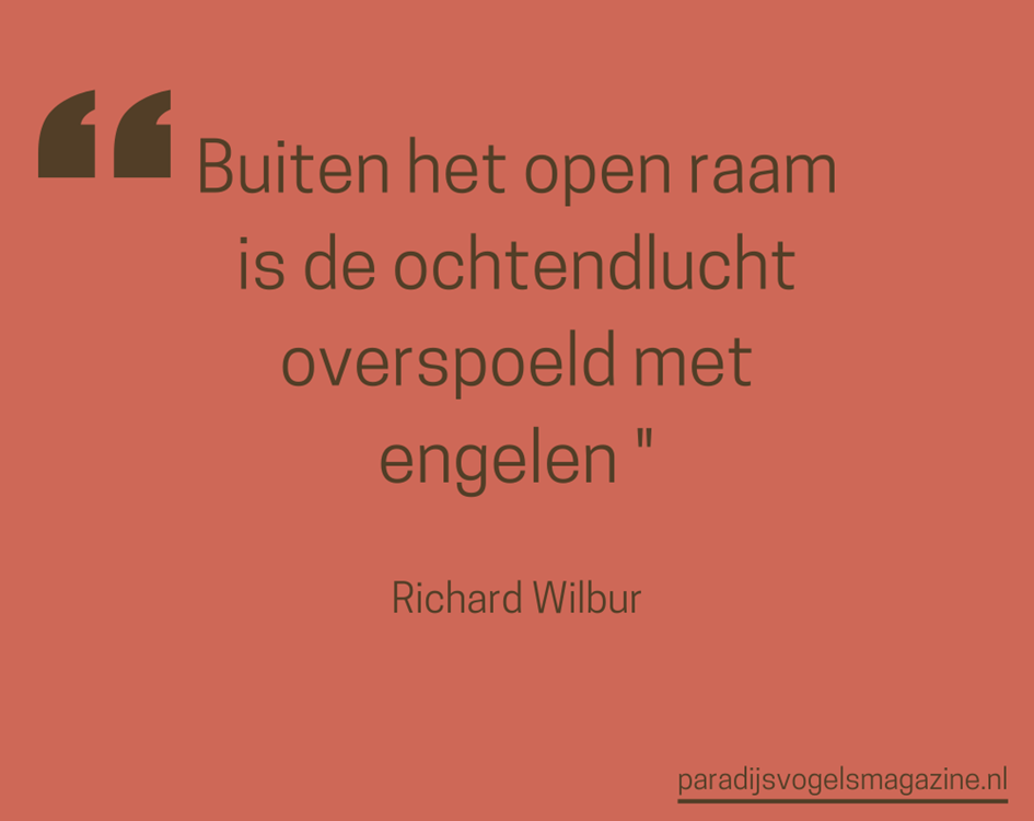 Goedemorgen quotes