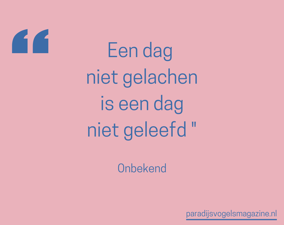 Goedemorgen quotes