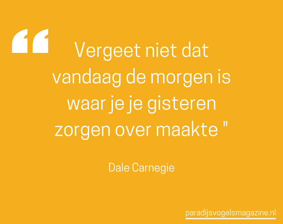 Goedemorgen quotes