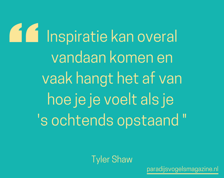 Goedemorgen quotes