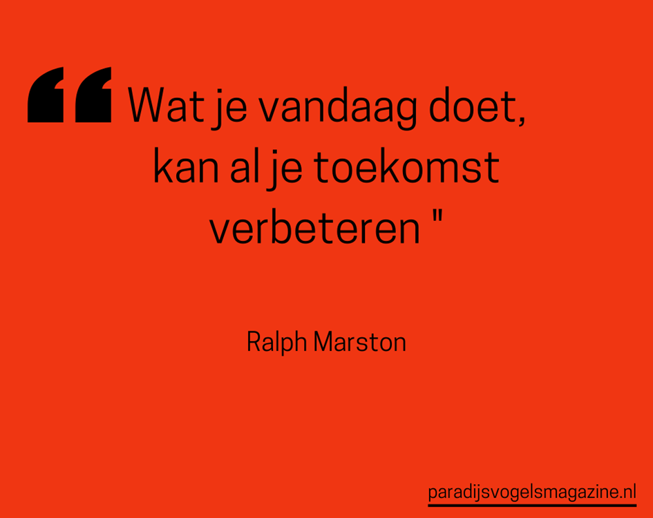 Goedemorgen quotes