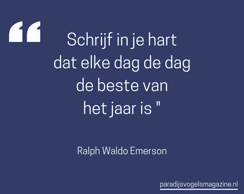 Goedemorgen quotes