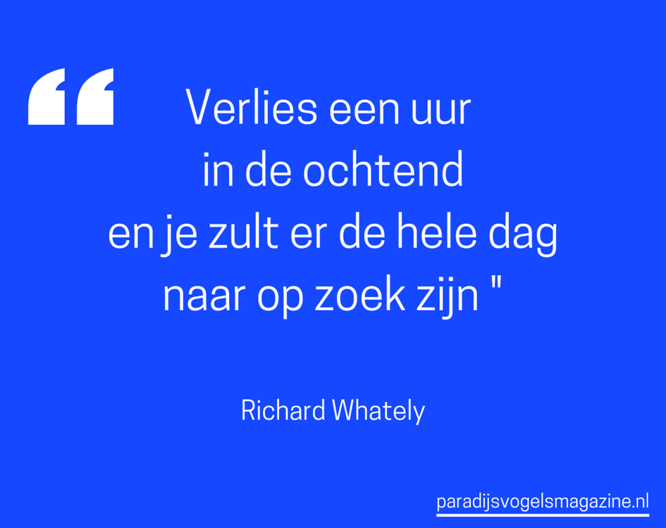 Goedemorgen quotes