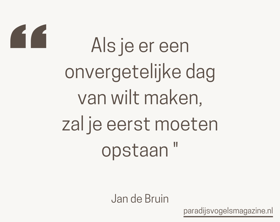 Goedemorgen quotes