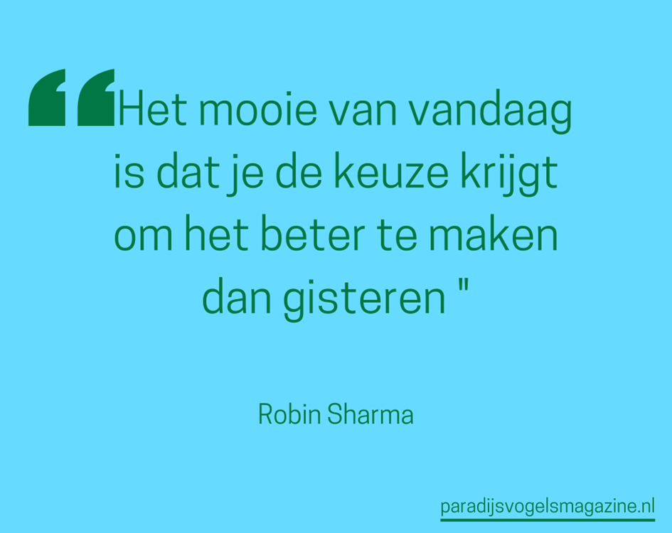 Goedemorgen quotes