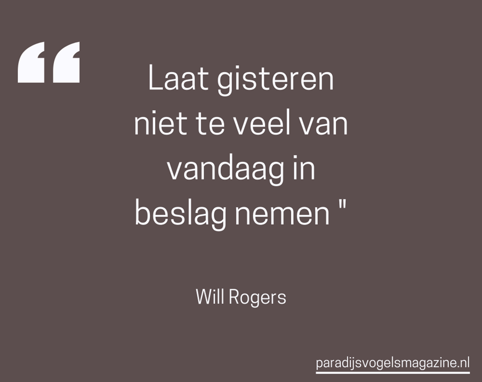 Goedemorgen quotes