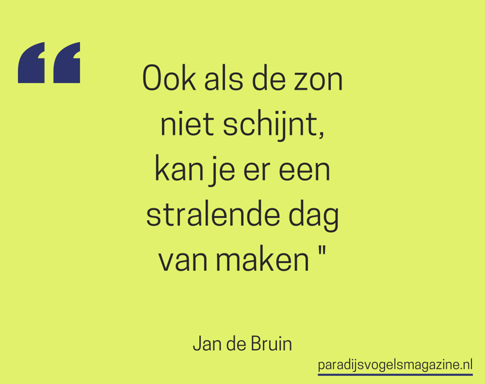 Goedemorgen quotes