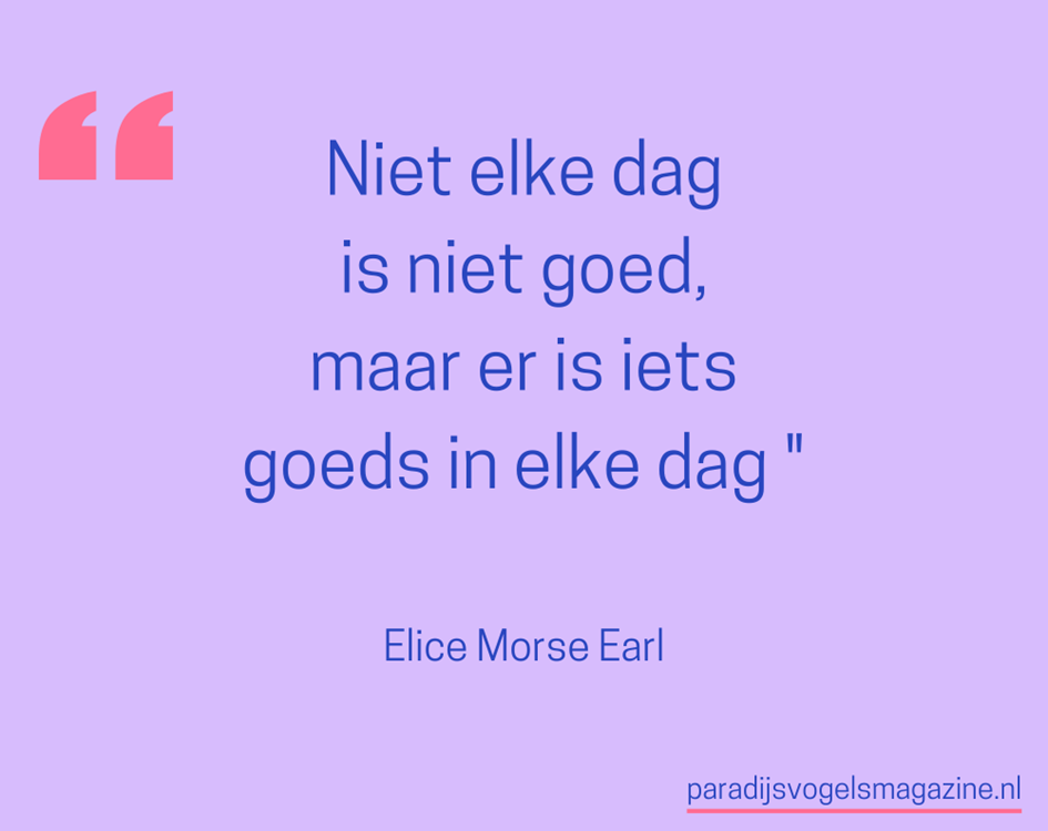 Goedemorgen quotes