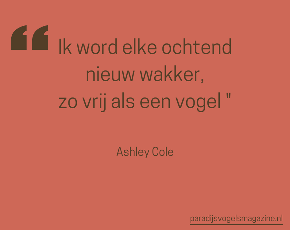Goedemorgen quotes