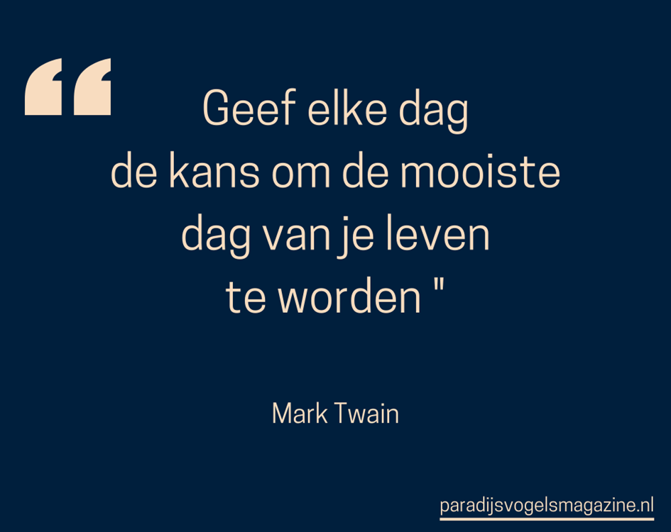 Goedemorgen quotes