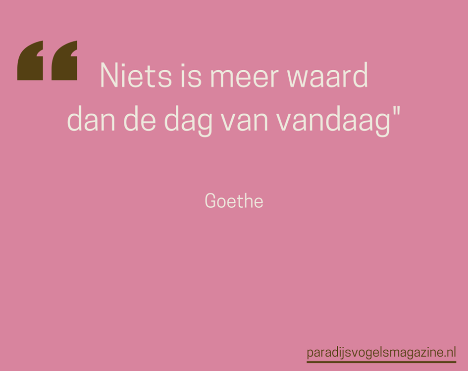 Goedemorgen quotes