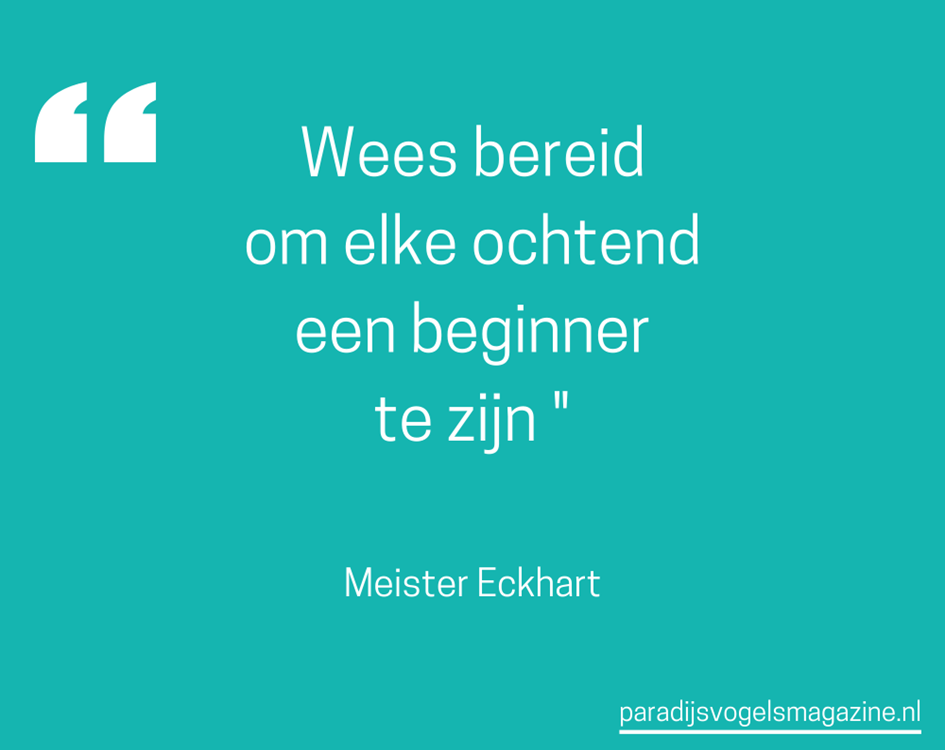 Goedemorgen quotes
