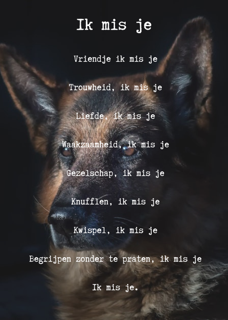gedichten bij overlijden hond