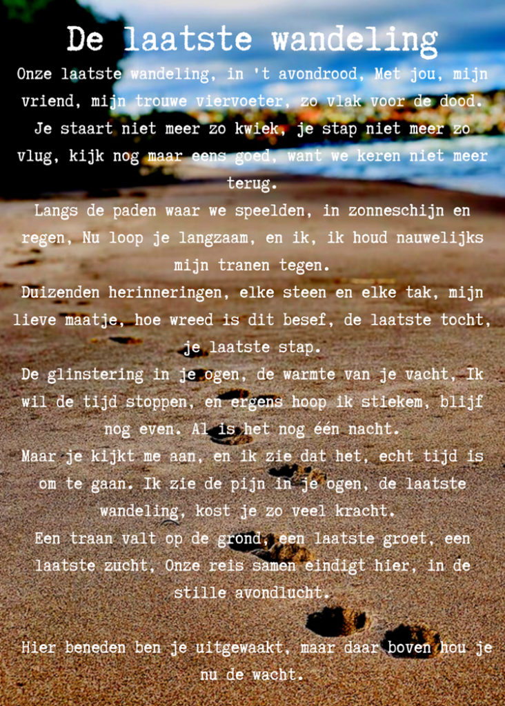 gedichten bij overlijden hond