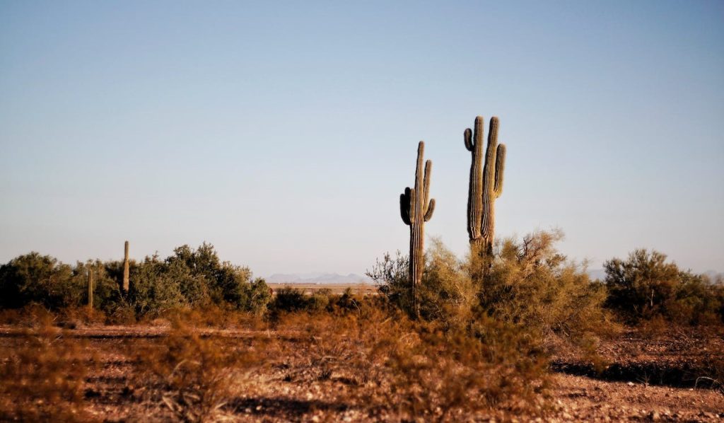 staten in Noord-Amerika