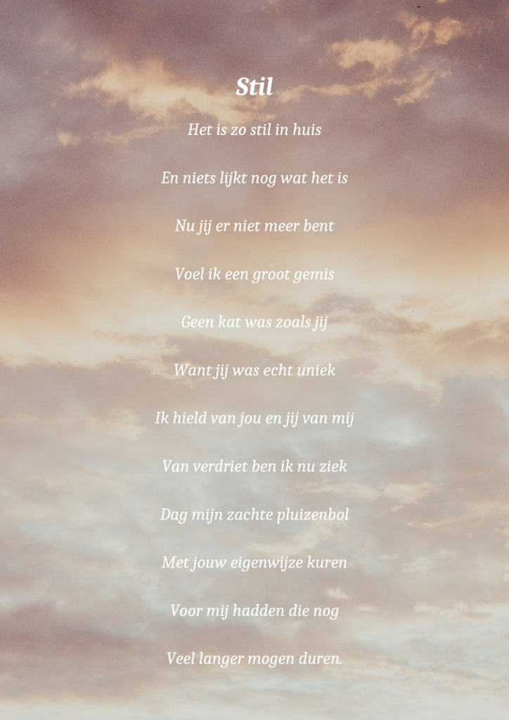 stil gedicht overlijden kat