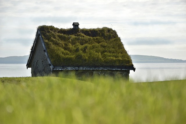 Huis met allemaal groene planten op het dak