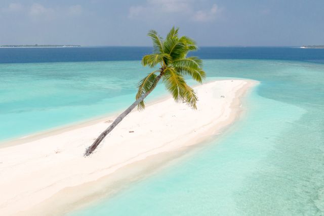 Rustig Malediven-eiland met een palboom
