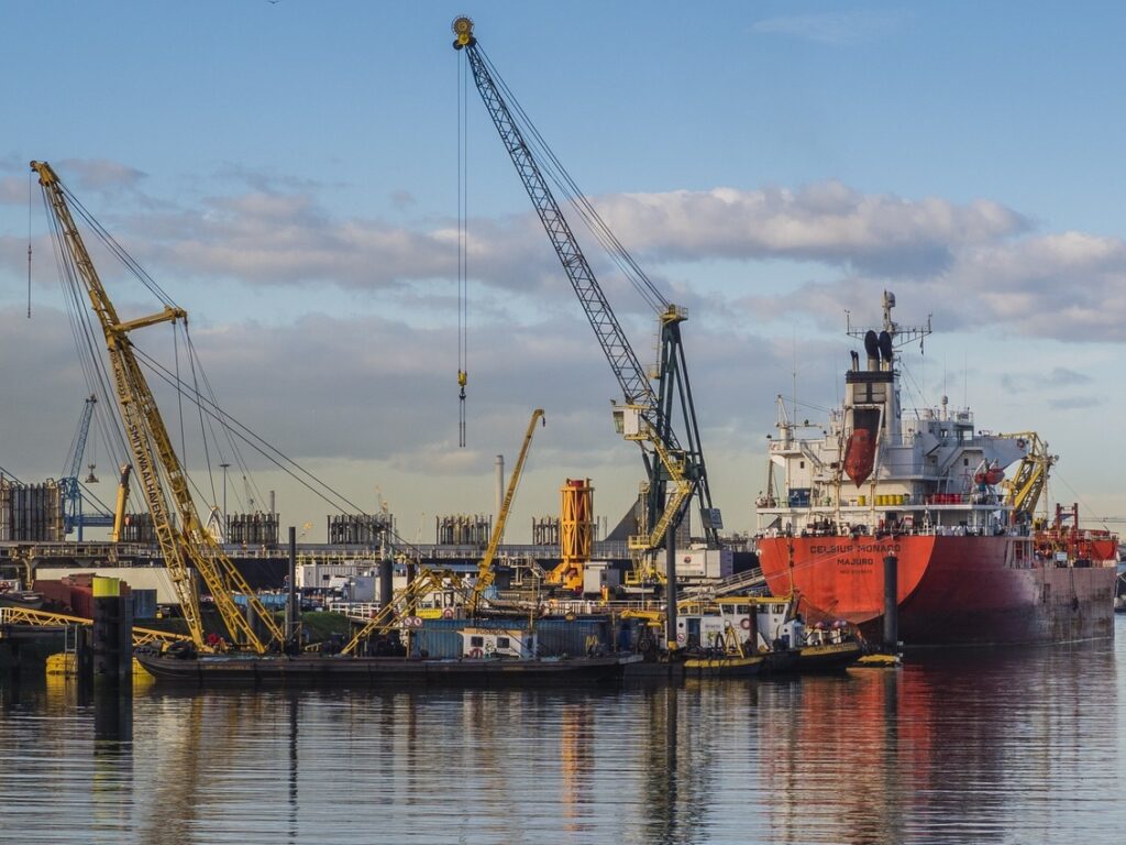 Groot rood vrachtschip en hijskranen in de Waalhaven van Rotterdam tijdens een dagje uit.